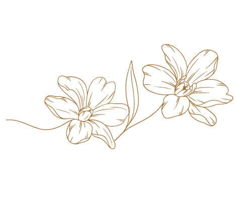 kaligrafia Nimes - fleurs - décoration événementielle